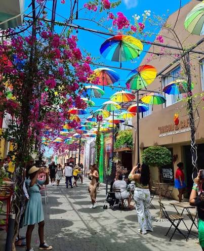 Umbrella Street & Pink Alley City Tour
